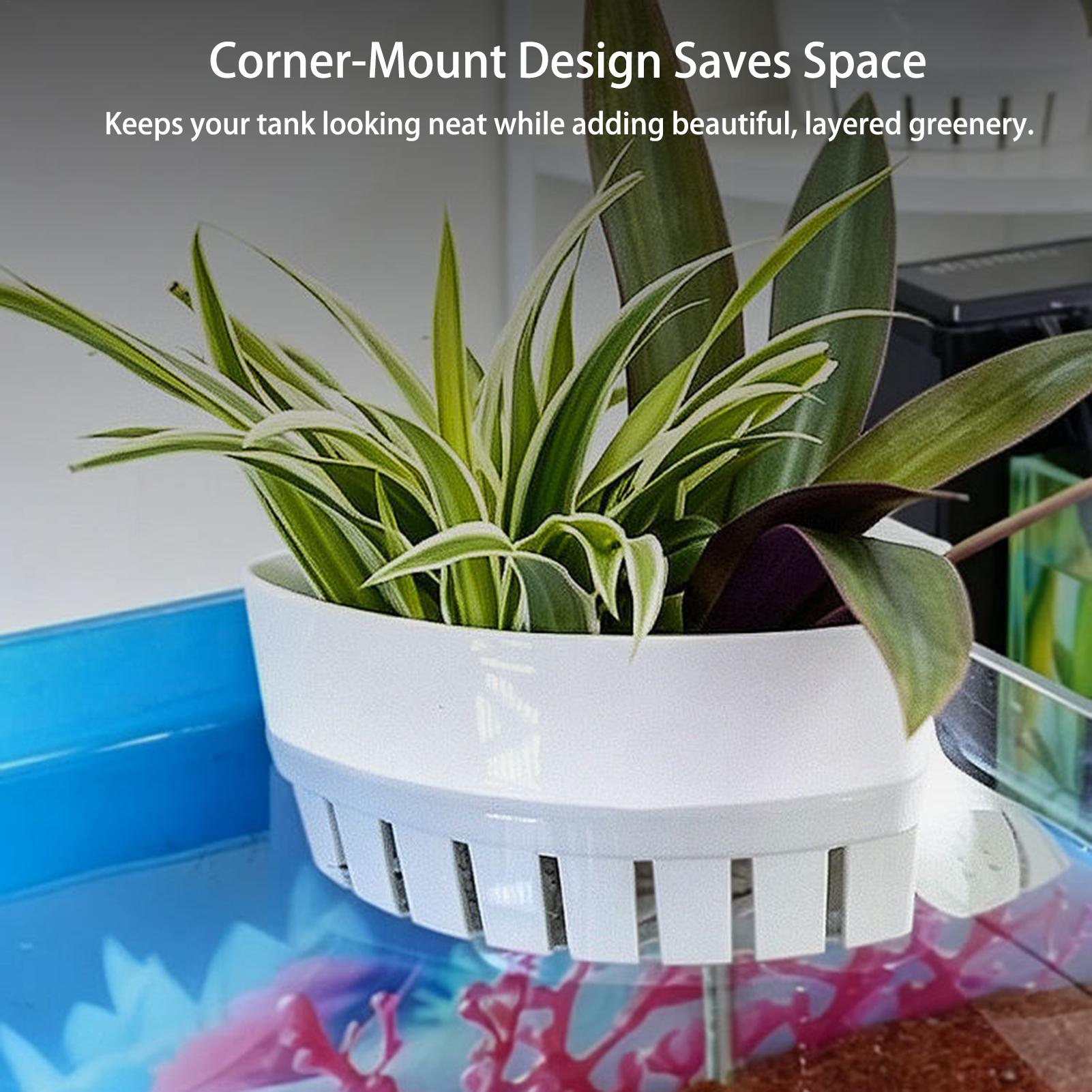 Aquarium Planted Background - Cesto para Plantas de Aquário, Decorações