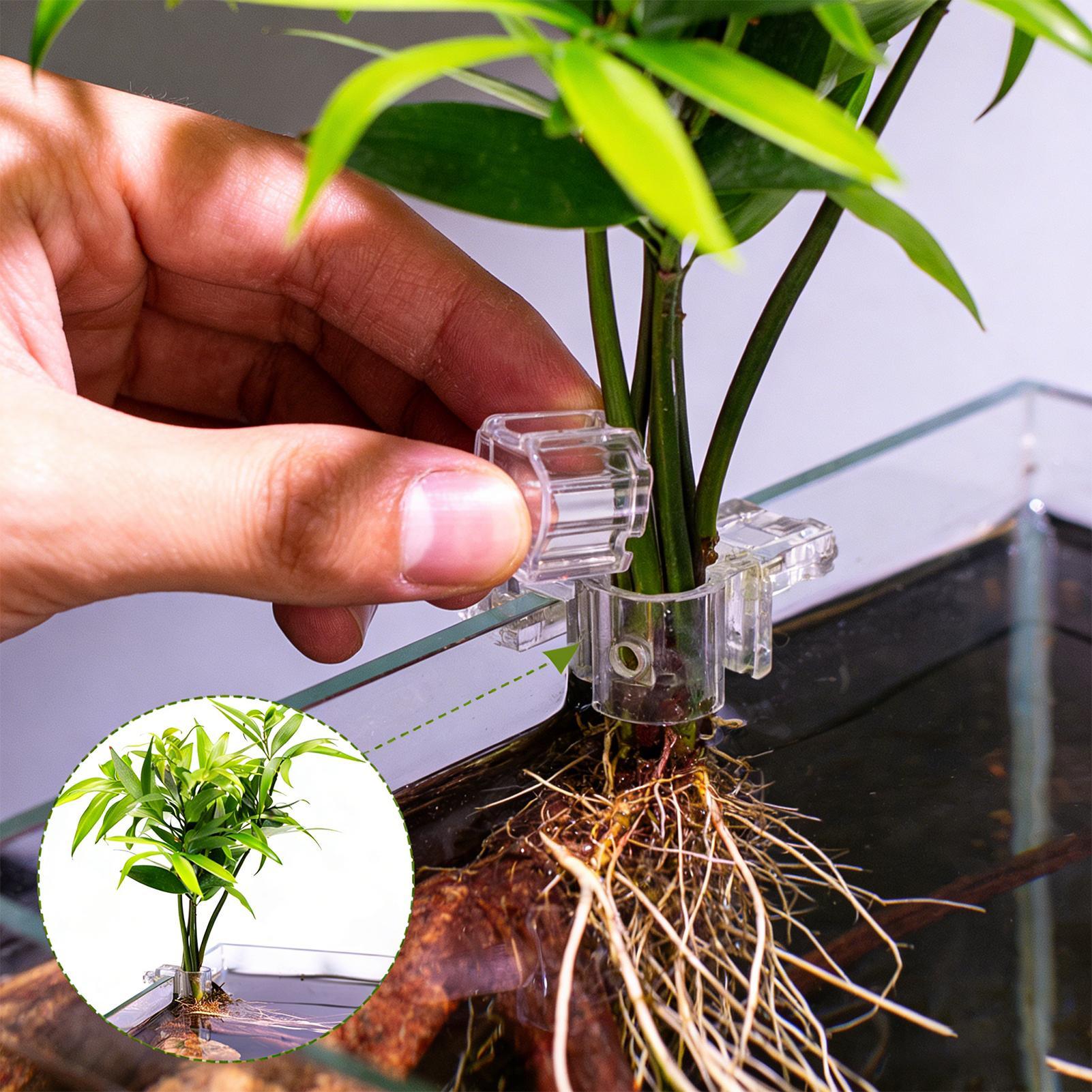 Aquarium Planted Soil - Suporte para Plantas de Aquário, 6
