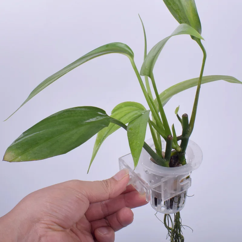 Aquarium Planet - Suporte de suspensão para plantas aquáticas,