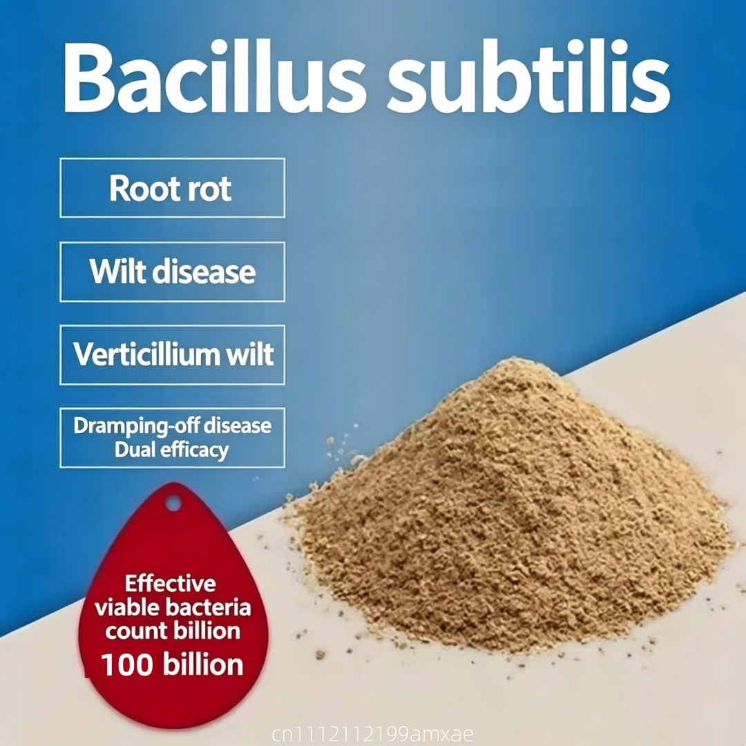 Aquarium Planted Soil - Pó de Bacillus Subtilis de Alta