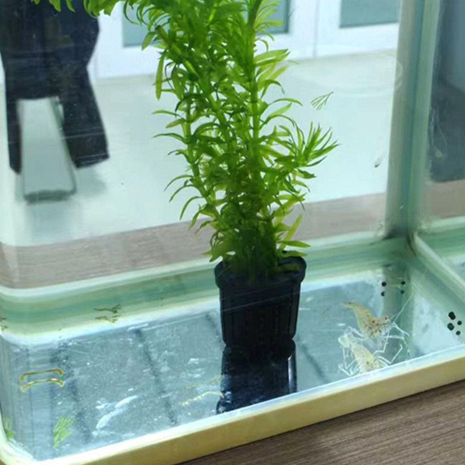 Conjunto de 4 Cestos Hidropôni - Aquarium Planted Background avaliação e preço