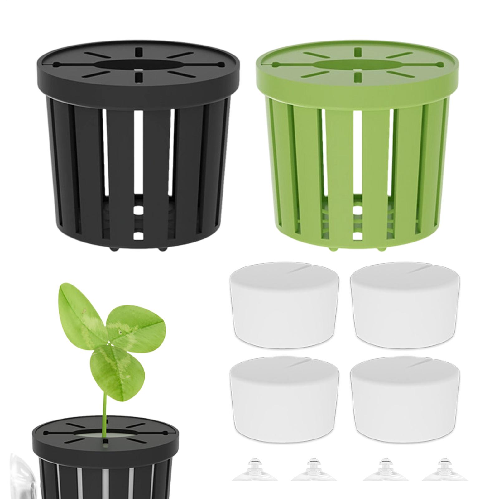 Conjunto de 4 Cestos Hidropôni - Aquarium Planted Background avaliação e preço