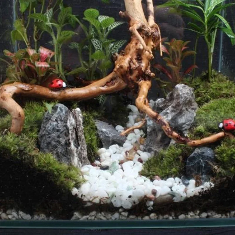 Natural Tree Tronco Driftwood  - Aquarium Planted Soil avaliação e preço