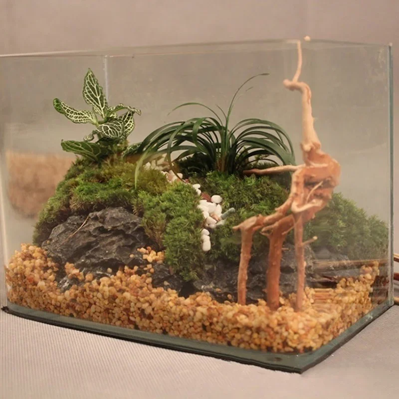 Natural Tree Tronco Driftwood  - Aquarium Planted Soil avaliação e preço