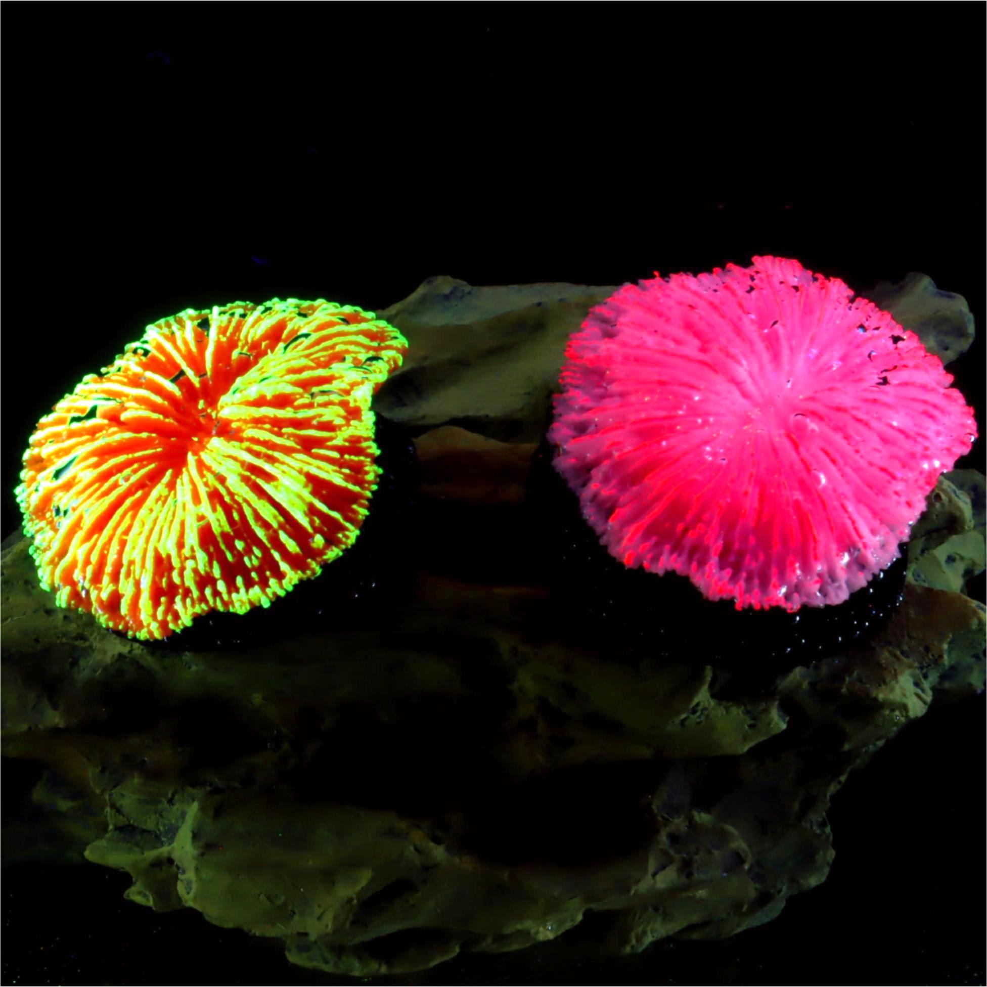 1 piece aquarium decoration sa - Aquarium Planet avaliação e preço