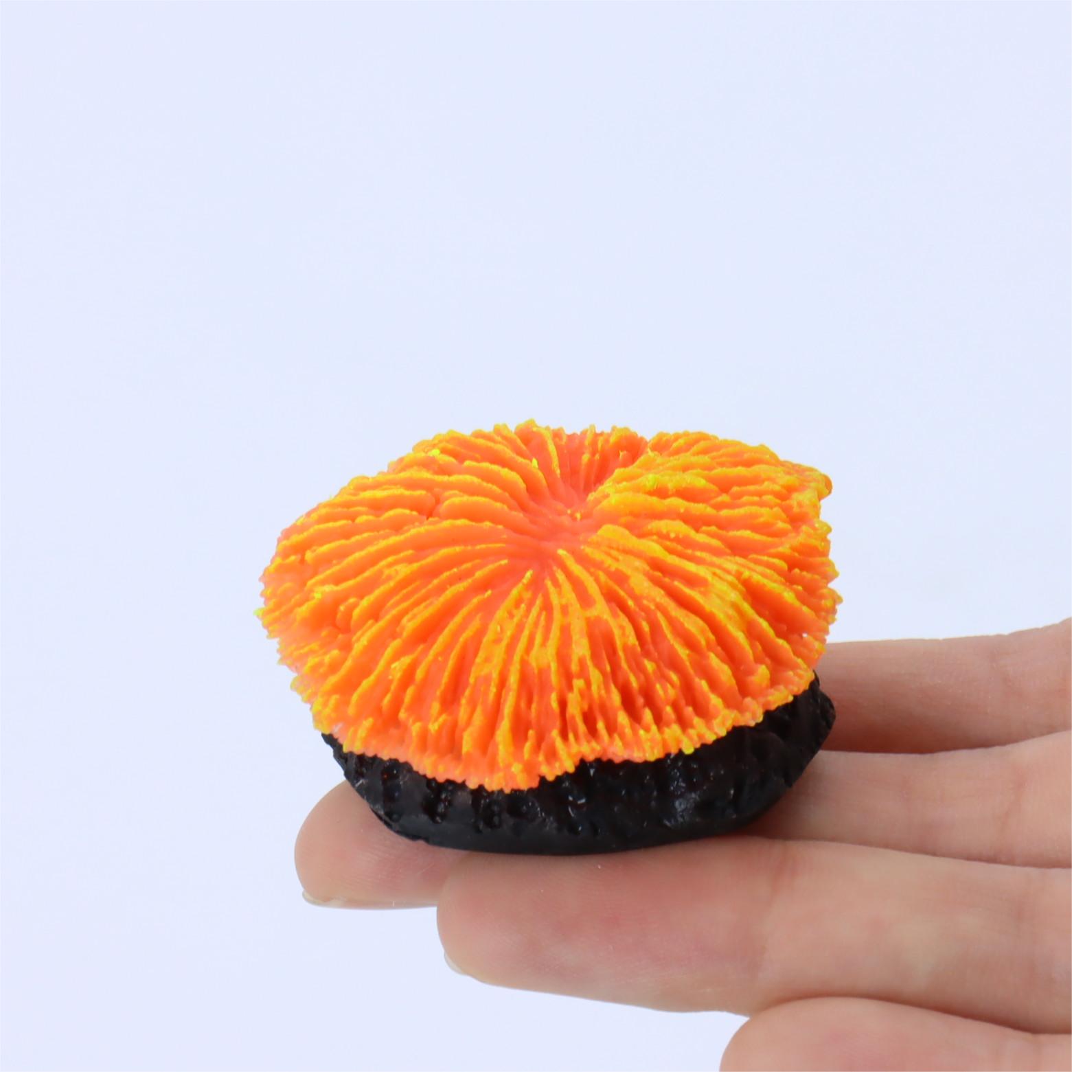 1 piece aquarium decoration sa - Aquarium Planet avaliação e preço