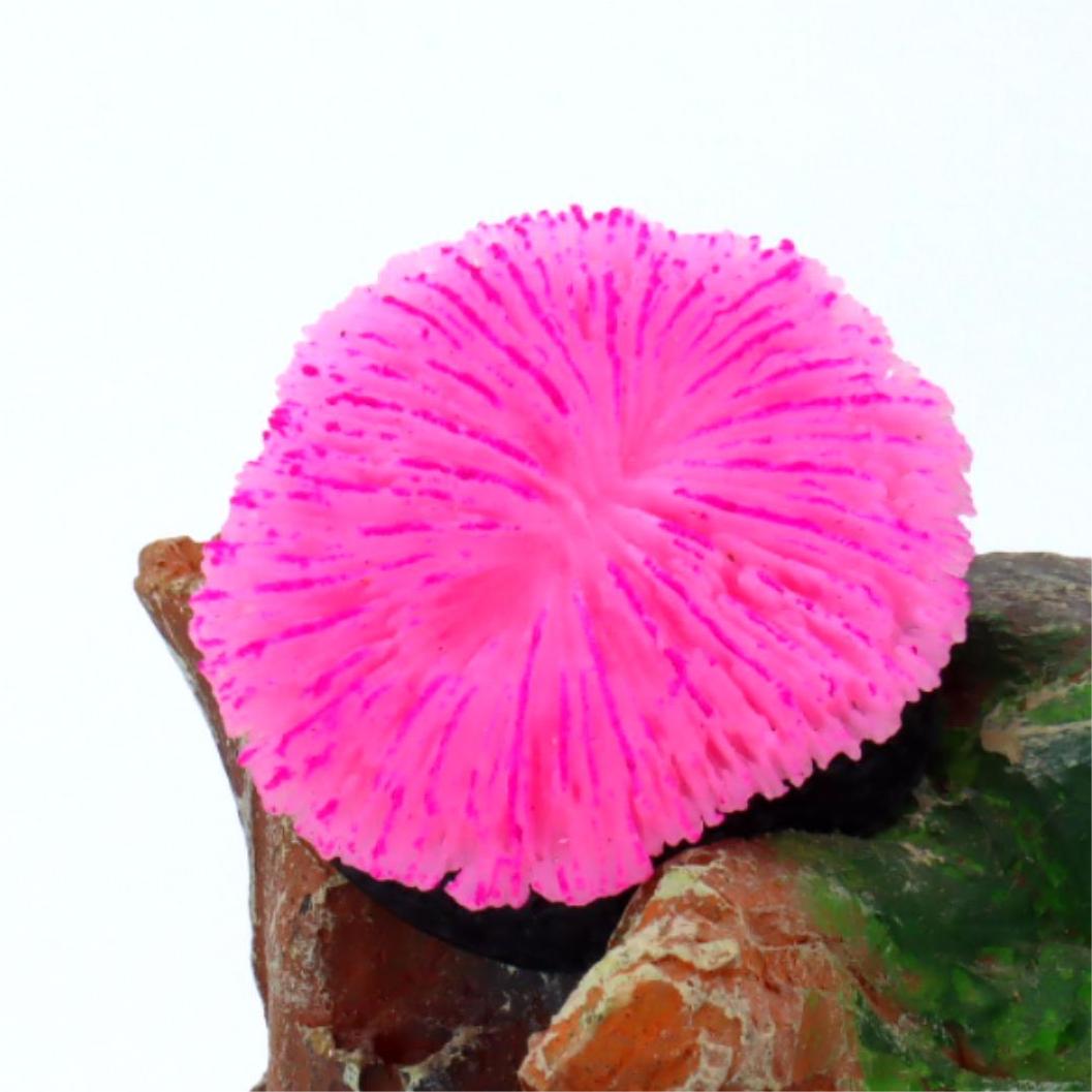 1 piece aquarium decoration sa - Aquarium Planet avaliação e preço