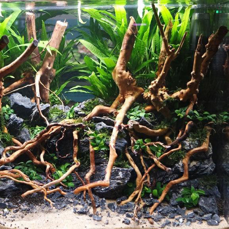 Aquário micro paisagem natural - Aquarium Planted Soil avaliação e preço