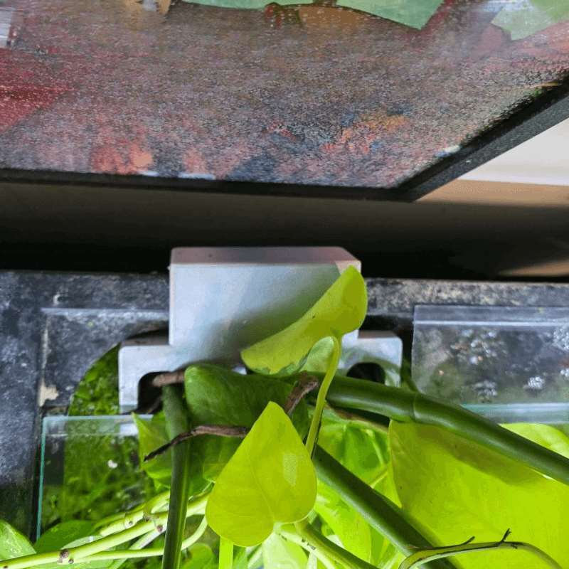 Suporte Lateral para Plantas d - Aquarium Planted Soil avaliação e preço