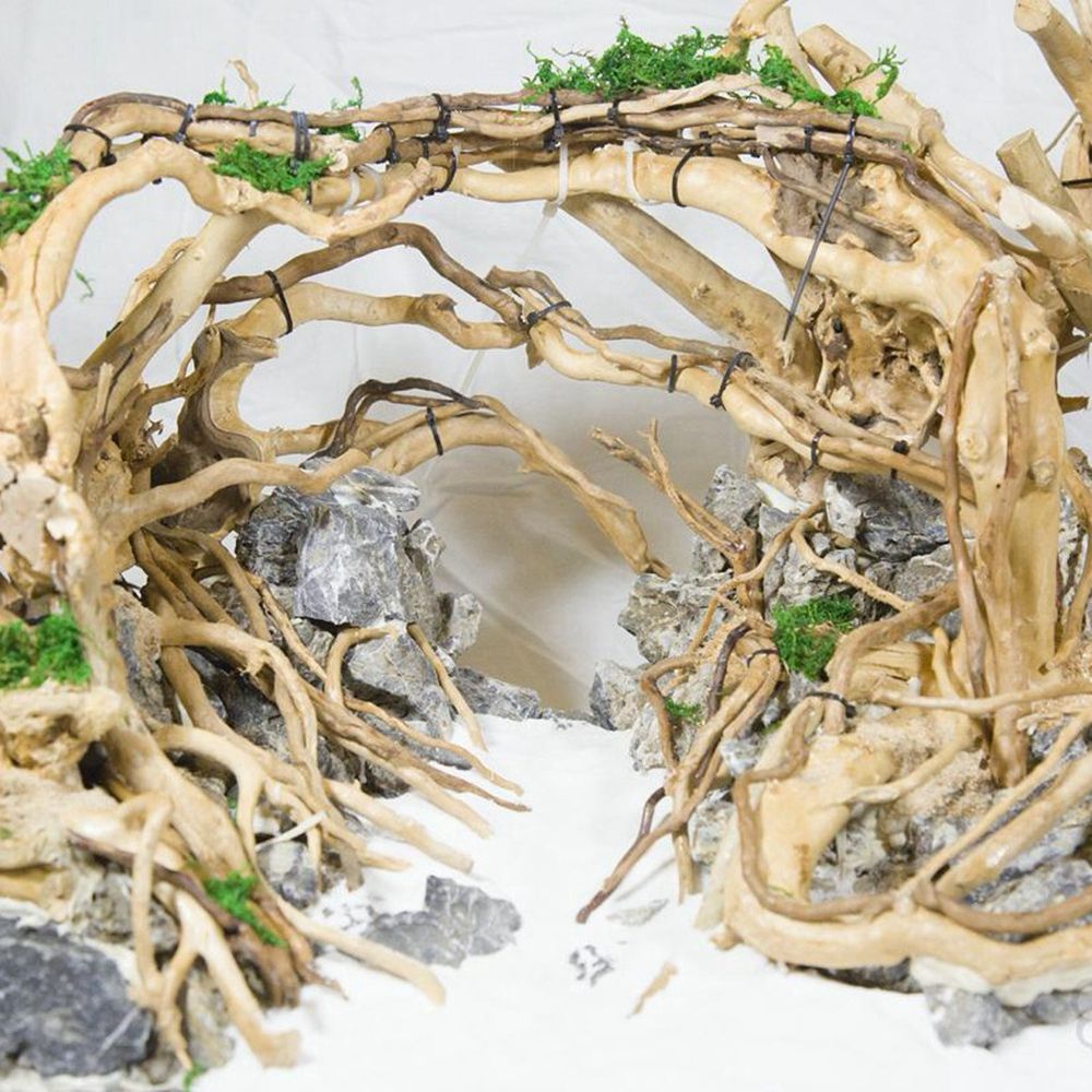 Madeira n1n paisagismo decoraç - Planted Aquarium With Driftwood avaliação e preço