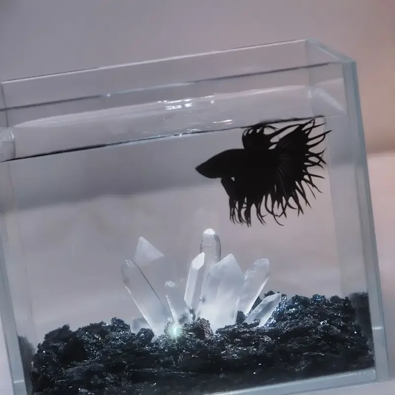 Criativo betta tanque decoraçã - Aquarium Planet avaliação e preço