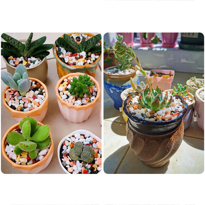 Areia para fundo de aquário, a - Aquarium Planted Soil avaliação e preço