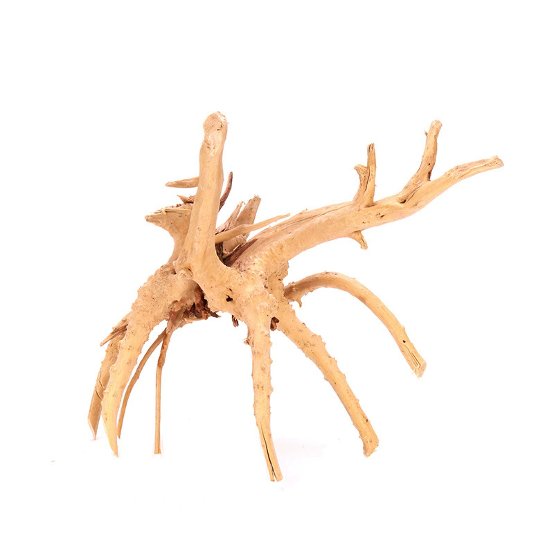 4 Peças de Decorações Naturais - Planted Aquarium With Driftwood avaliação e preço
