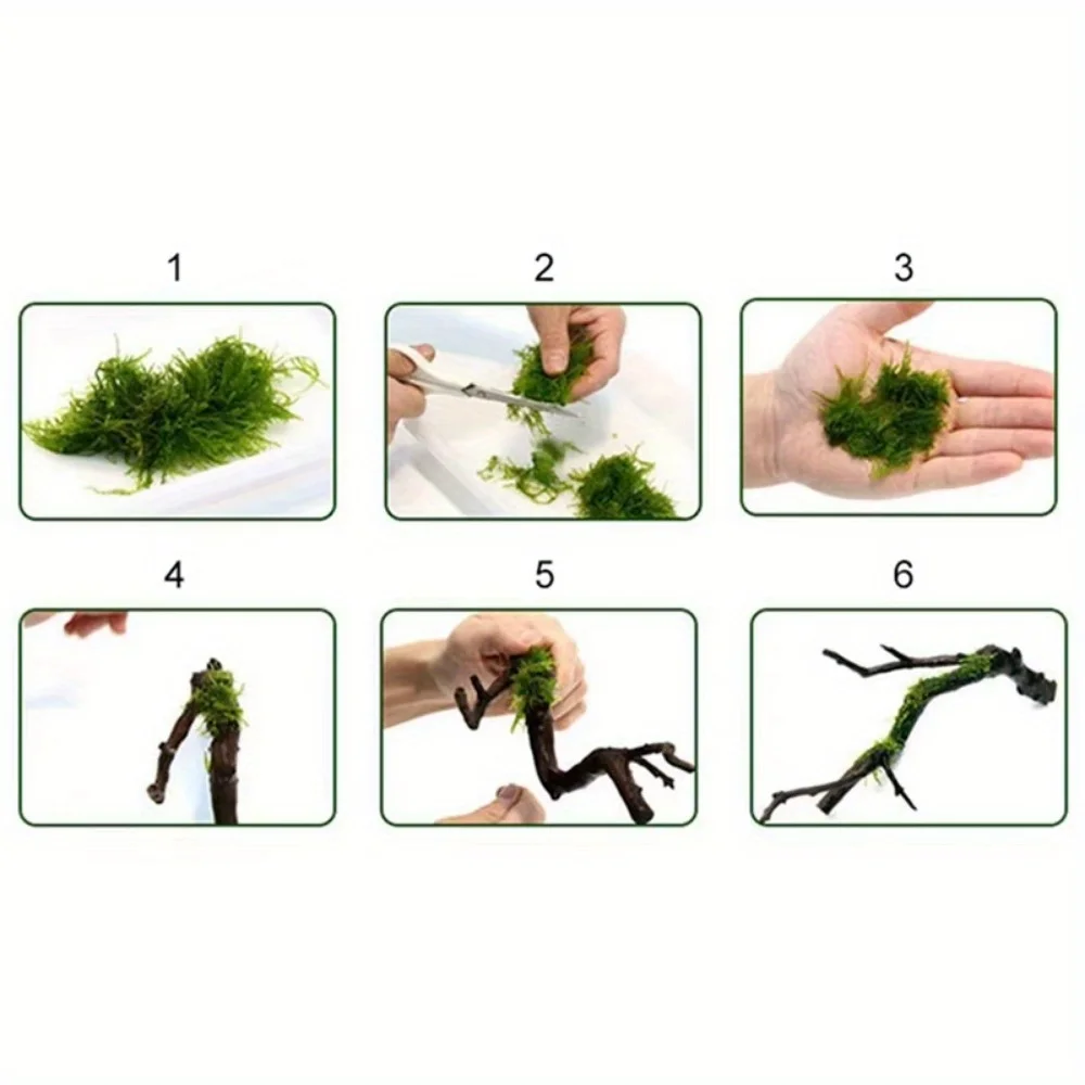 1 rolo diy linha de musgo linh - Planted Aquarium With Driftwood avaliação e preço