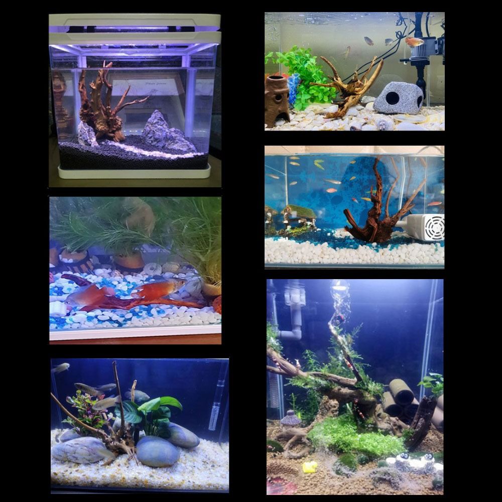 Tronco de Madeira Natural Gran - Planted Aquarium With Driftwood avaliação e preço