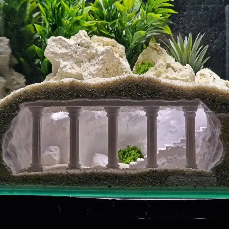 Impresso romano natural tanque - Aquarium Planet avaliação e preço