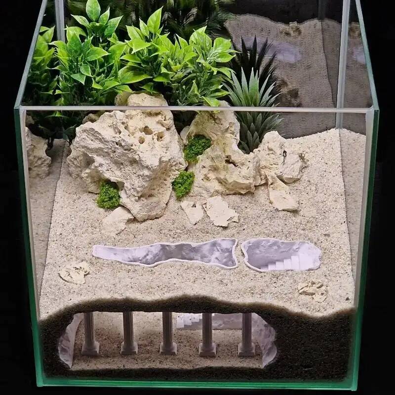 Impresso romano natural tanque - Aquarium Planet avaliação e preço