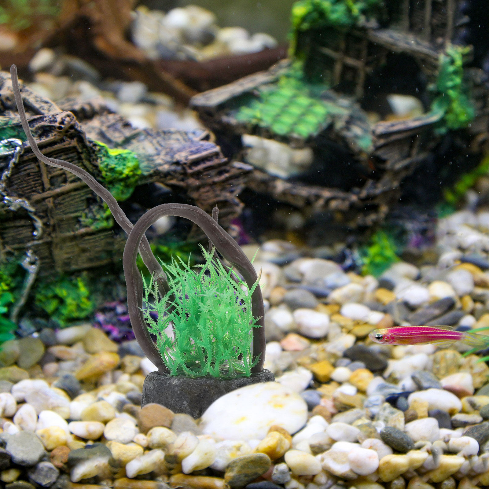 Raiz de Madeira Flutuante Arti - Planted Aquarium With Driftwood avaliação e preço