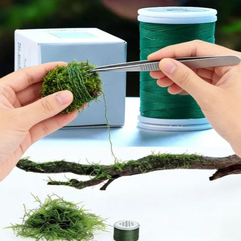 Fio de Musgo Biodegradável par - Planted Aquarium With Driftwood avaliação e preço