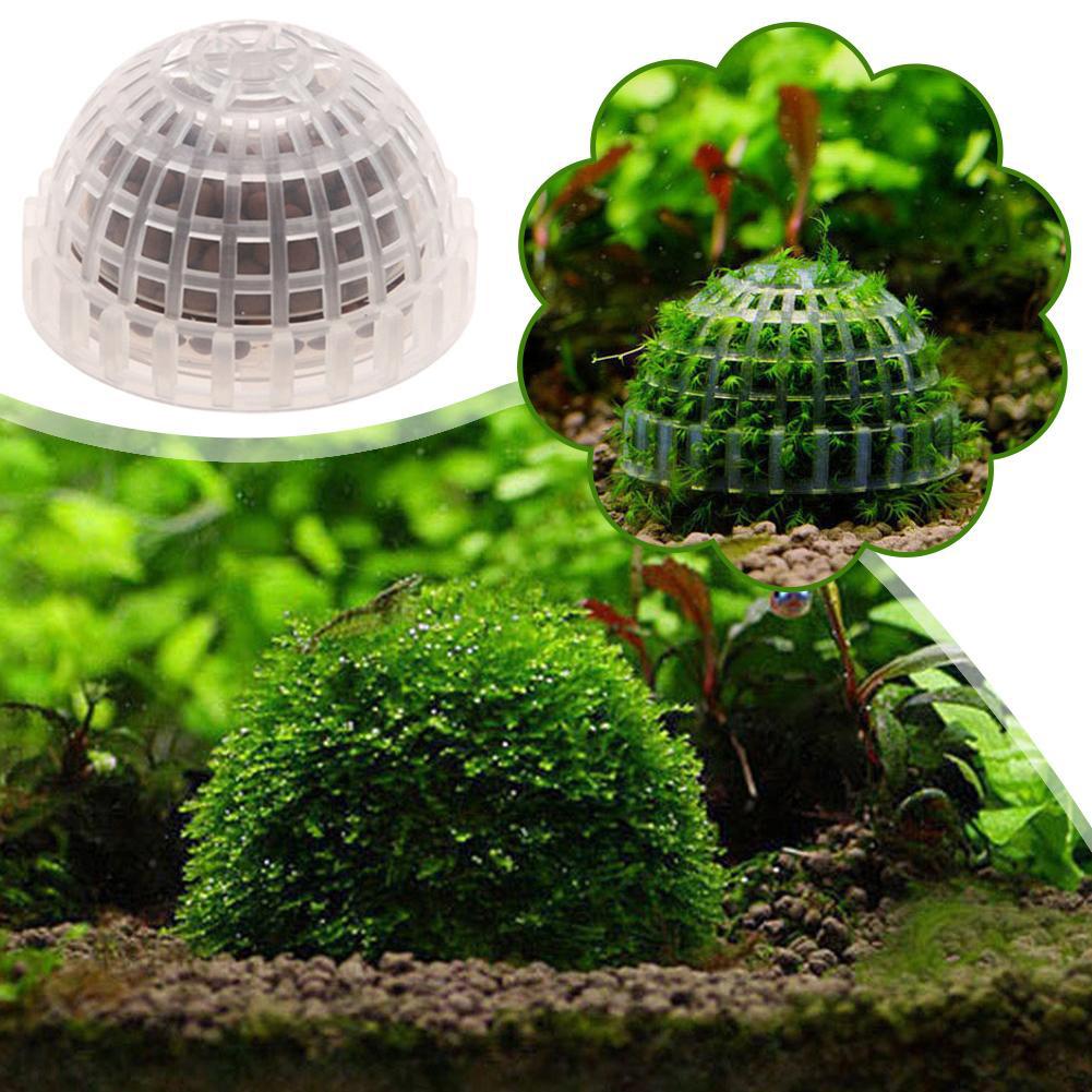 1-5 Peças de Plantas Decorativ - Aquarium Planted Background avaliação e preço