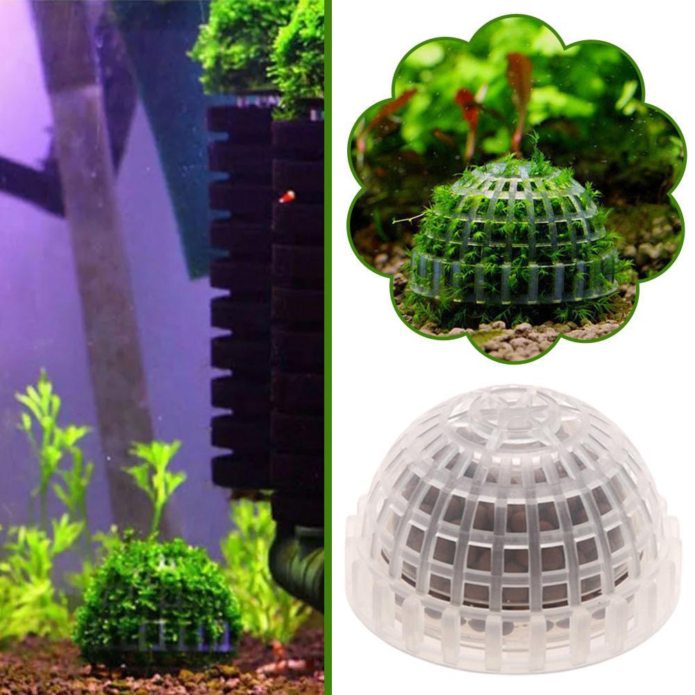 1-5 Peças de Plantas Decorativ - Aquarium Planted Background avaliação e preço