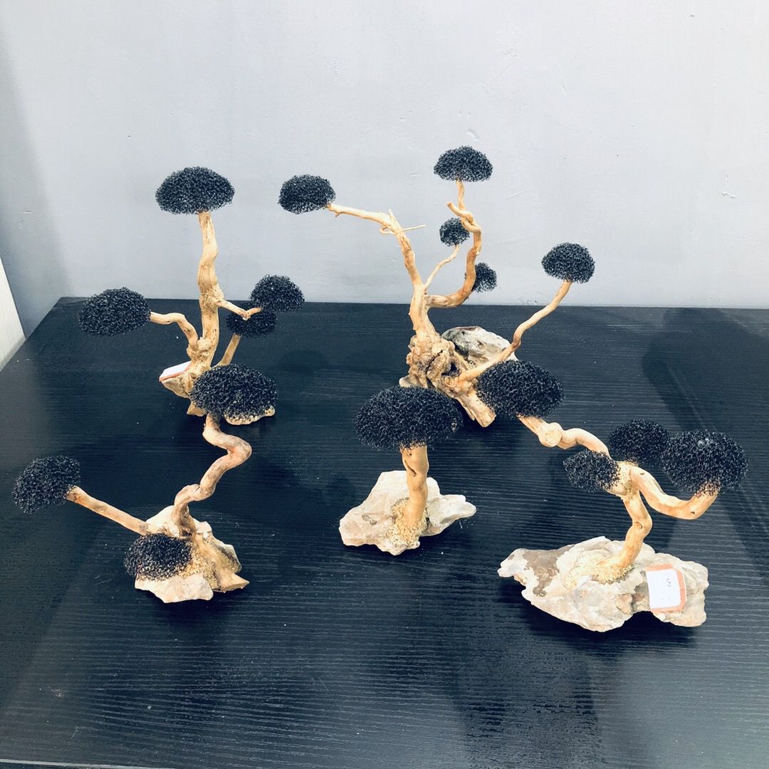 Decoração de aquário musgo flu - Planted Aquarium With Driftwood avaliação e preço