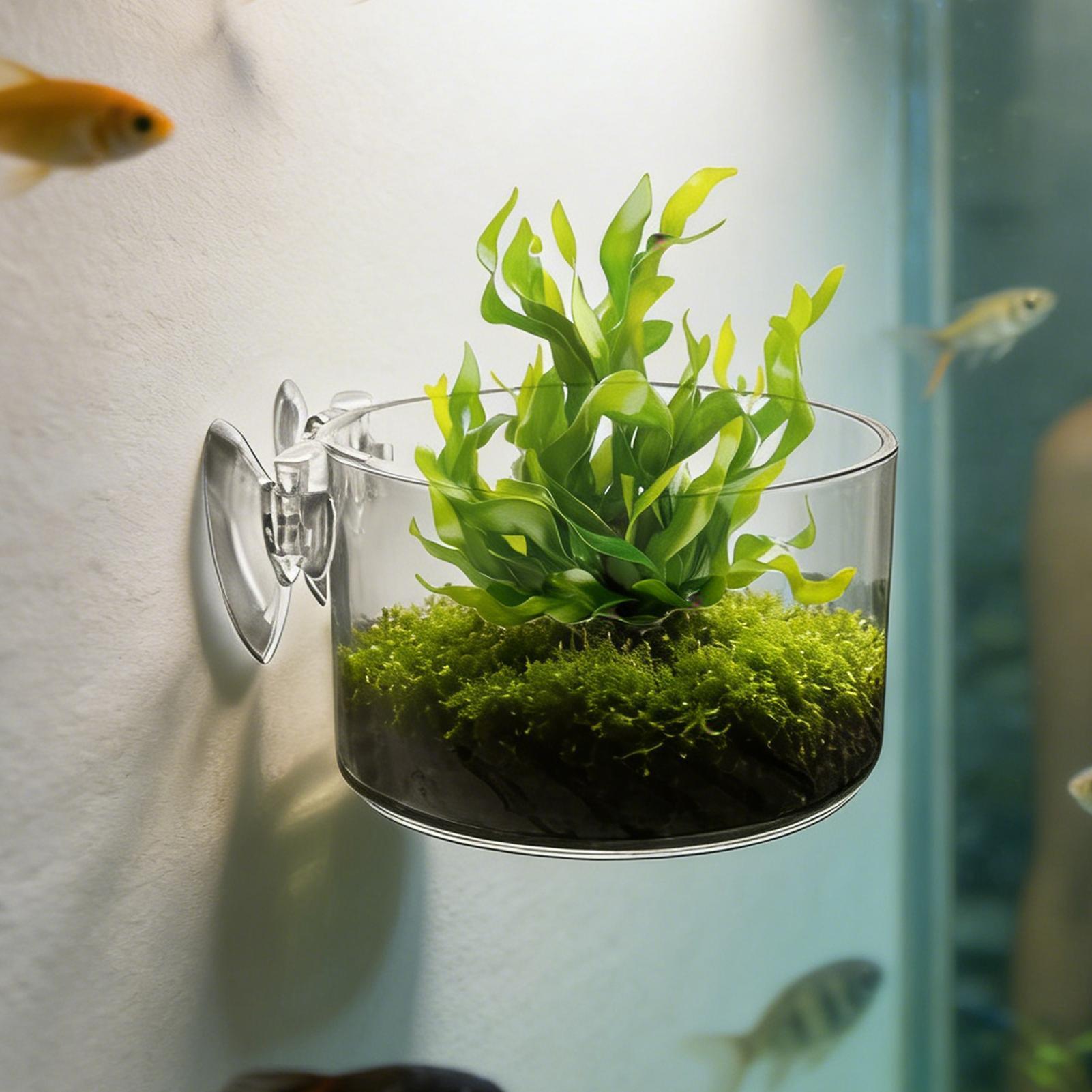 Suporte para Plantas de Aquári - Aquarium Planted Background avaliação e preço