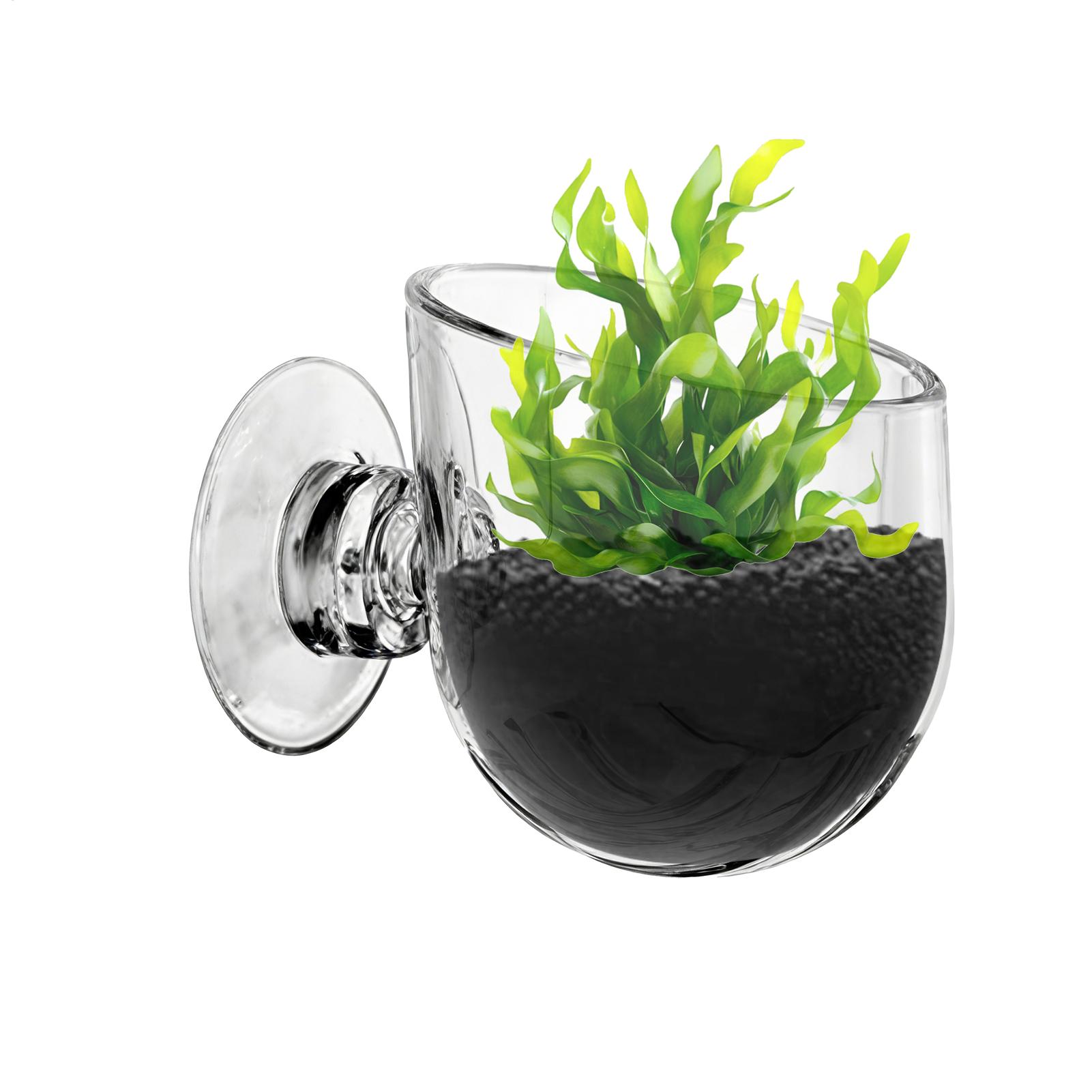 Suporte para Plantas de Aquári - Aquarium Planted Background avaliação e preço