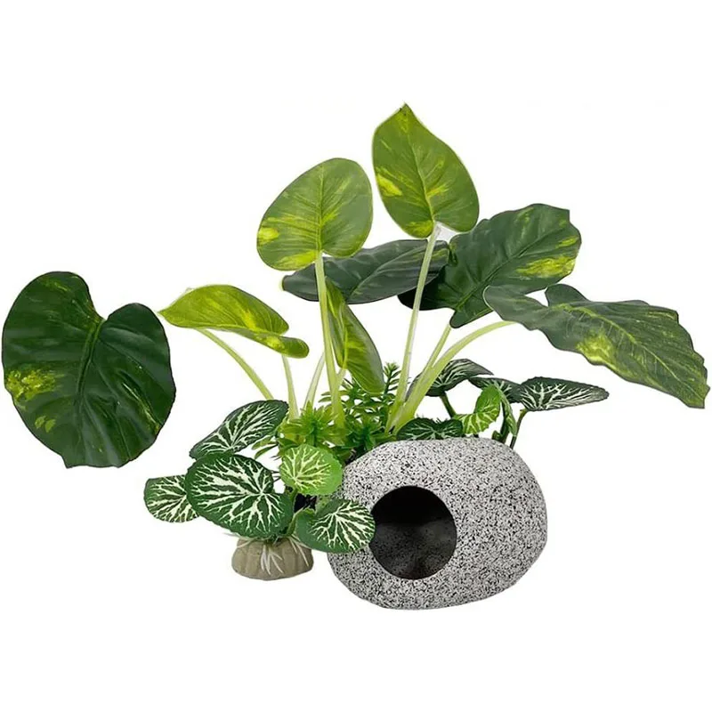 Pequena grama subaquática aquá - Aquarium Planted Background avaliação e preço